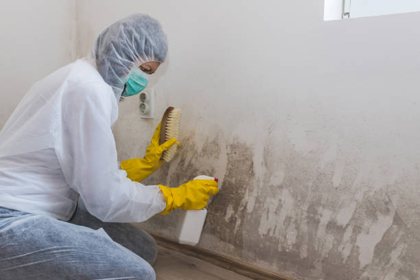 Water Damage Restoration in Bermuda Dunes, CA