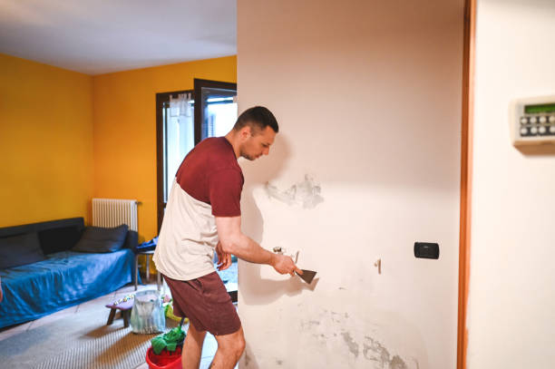 Best Professional Mold Removal  in Bermuda Dunes, CA